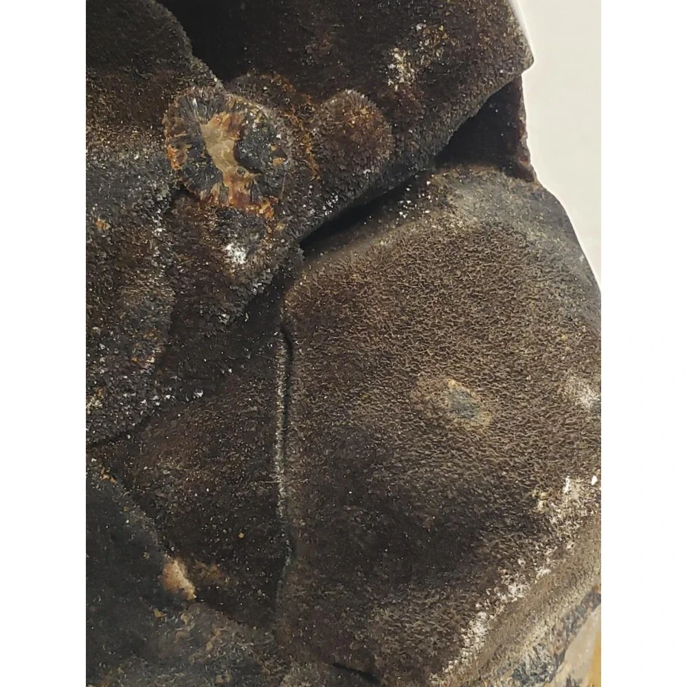 Natural Dragon Septarian Geode Freeform Quartz Cluster Crystal Healing - Picture 12 of 12